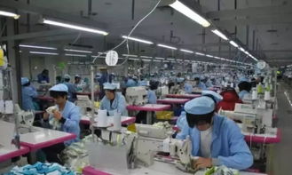 申洲宣布 投资7亿元在越南建阿迪达斯专属服装工厂